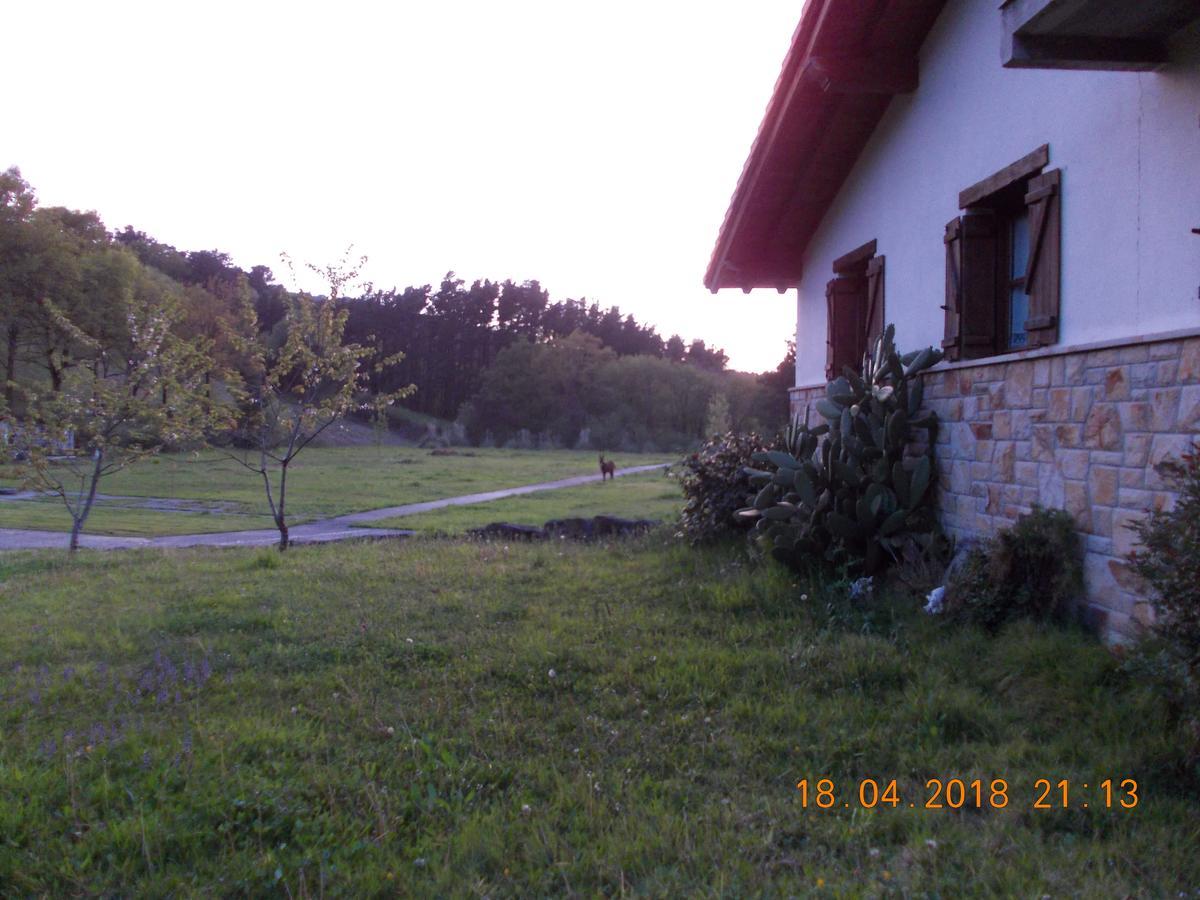 Casa Rural Miamendi Larrabetzu Bagian luar foto
