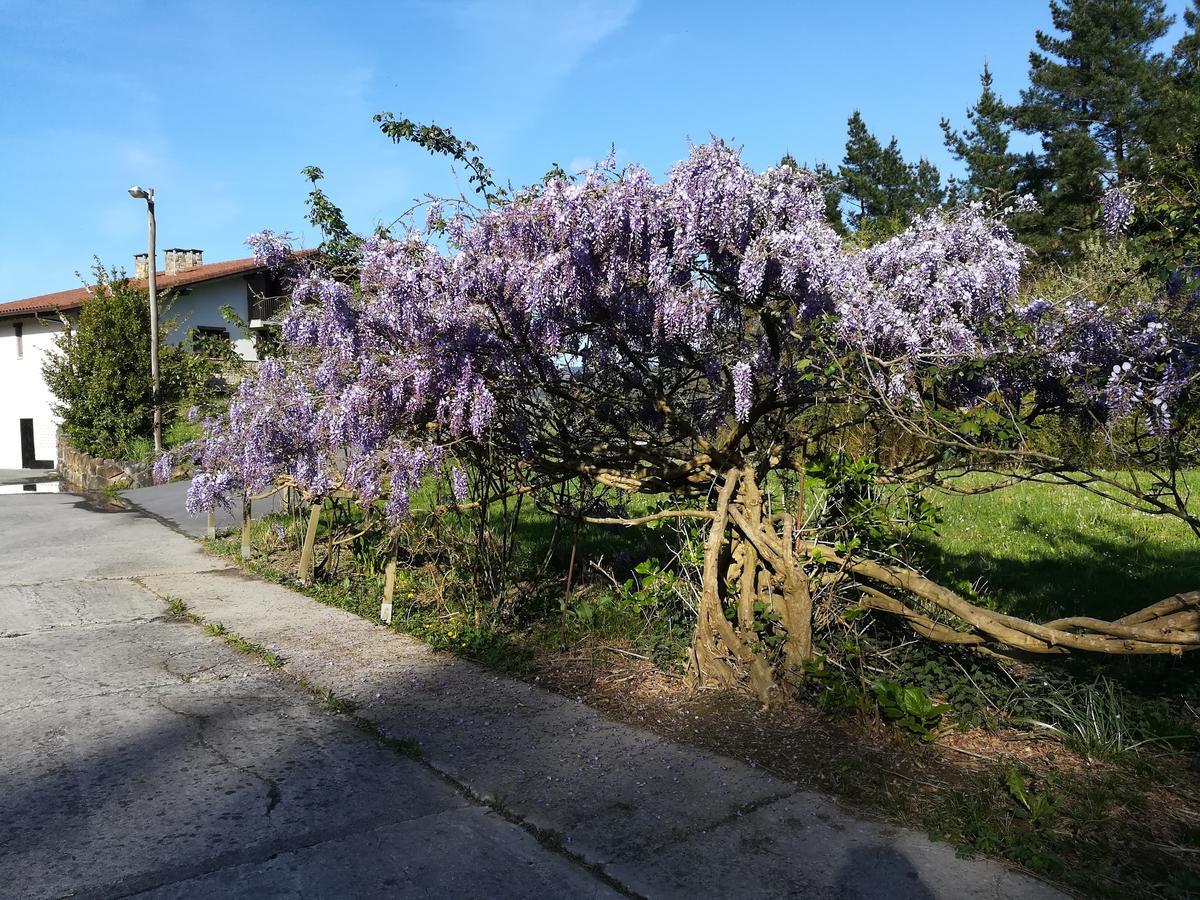 Casa Rural Miamendi Larrabetzu Bagian luar foto